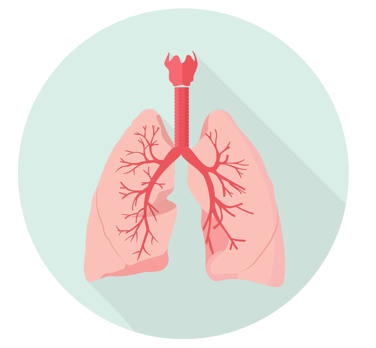 ДПО СГМУ: Все курсы